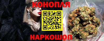 сатива Нальчик