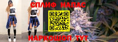 тгк Новокубанск